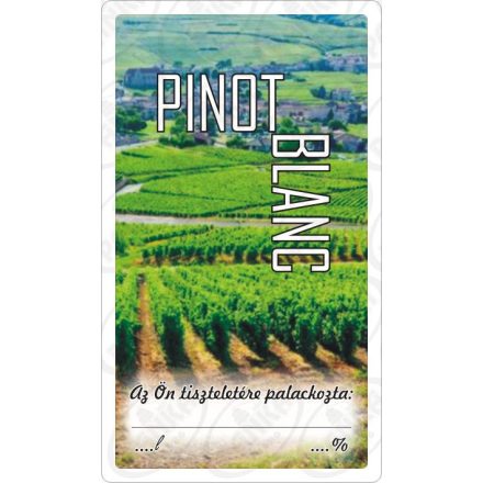 Matrica pinot blanc 50db/csom