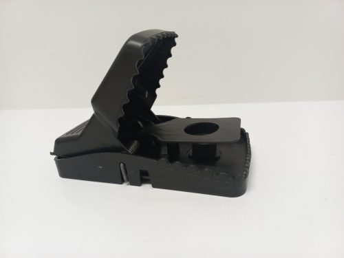 Egérfogó Nagy Müa.-Eng-022