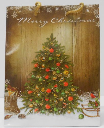 Ajándéktasak Kari Közép B32323 A