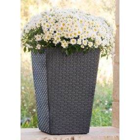 Rattan Hat.Virágtartó S 228977,978