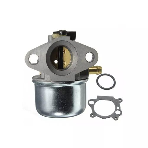 Karburátor Briggs 498170
