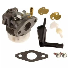 Karburátor Briggs&Stratton 798653,697354,790290,698860,