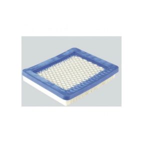 Levegő Szűrö Briggs Quantum 3,5 Le 491588