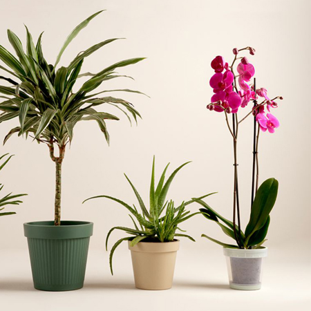 Berlinger Haus I-Rose Collection WC kefe tartóval metál külső bevonattal
