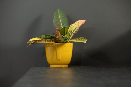 Atena Virágkaspó 18,5 Cm