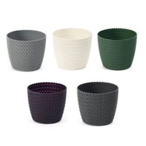 Cserép Magnolia Jersey140 Mm