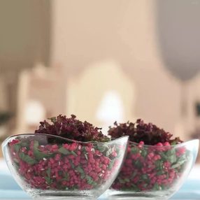 Üveg Tál 17 cm 2 db-os LV-VIR281N