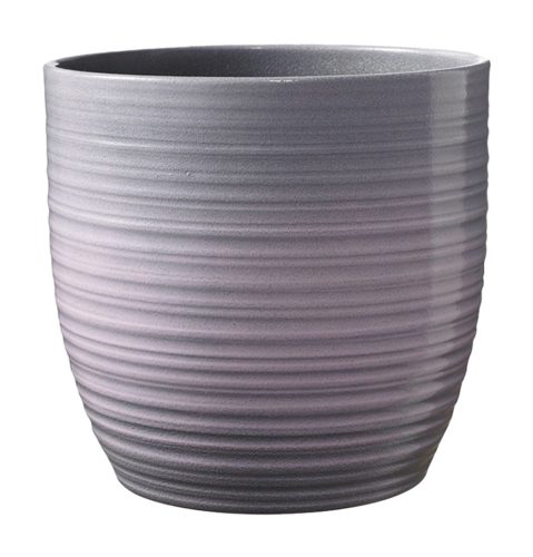 K.Kaspo Bergamo Levendula