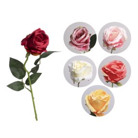 Szálas Rózsa Nyílott 6Sl50 500170