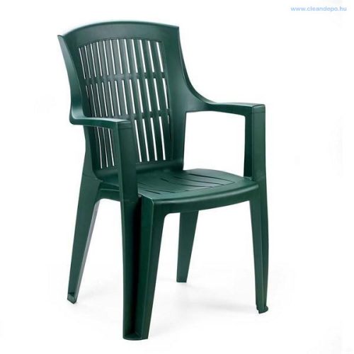ProGARDEN ARPA karfás szék zöld színű