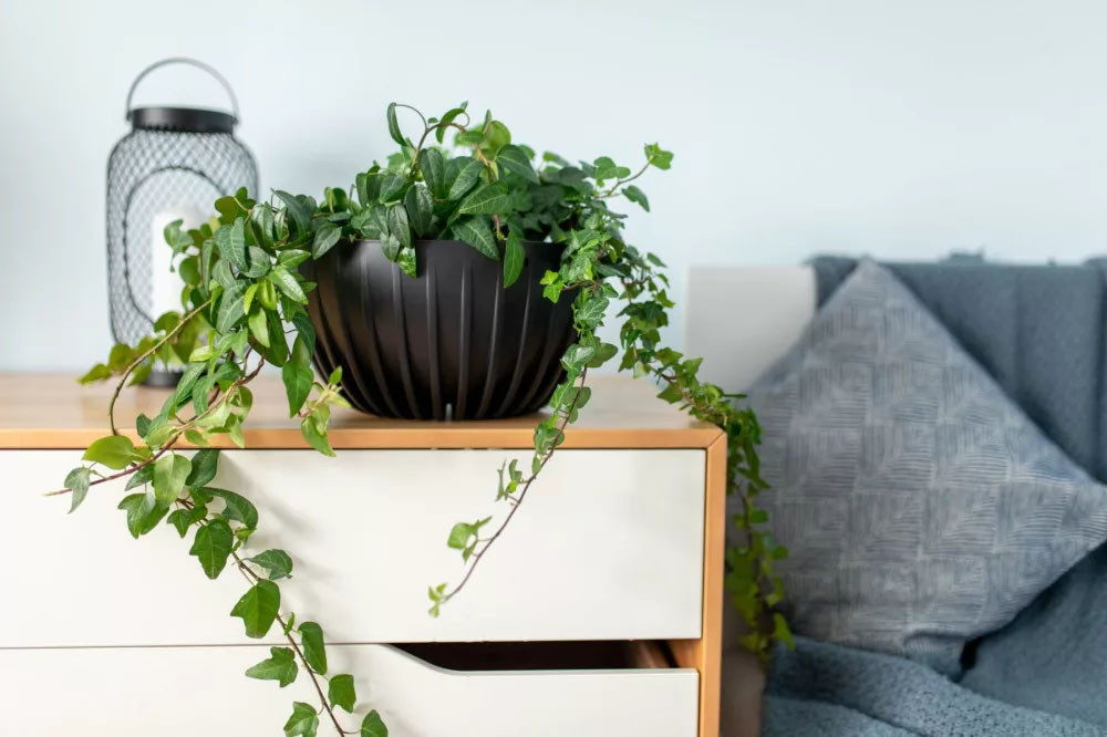 Lamela Eco Mira Virágkaspó 30 cm